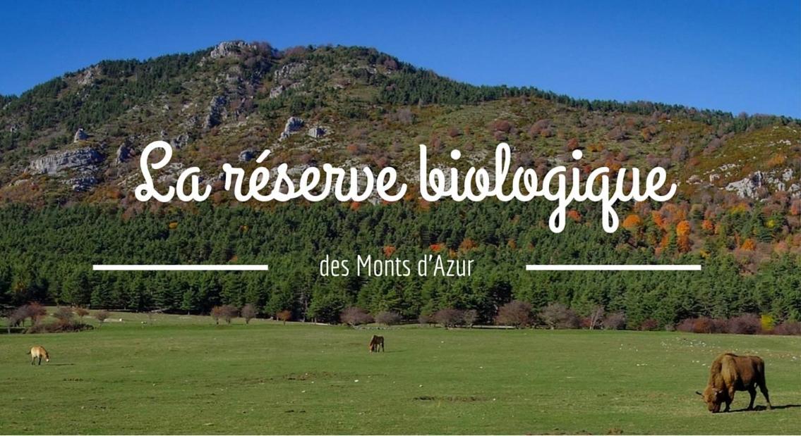 Montagne, Mer Et Verdon Séranon Exterior foto